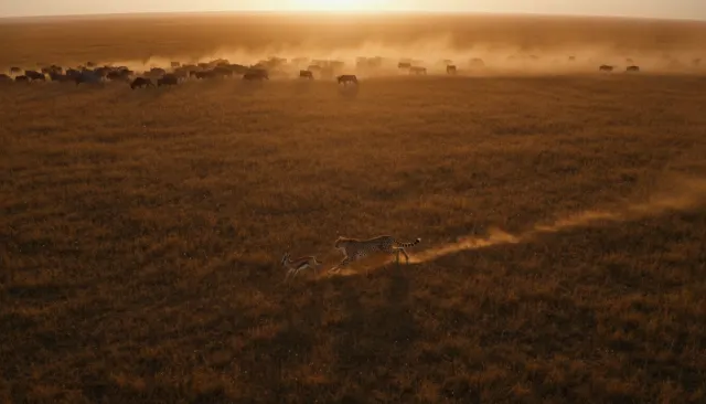 David Attenborough BBC Planet Earth Aerial look sample - Documentary Modern - contemporary