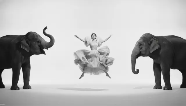 Harpers Bazaar Richard Avedon look sample - Fashion Editorial - 1960s